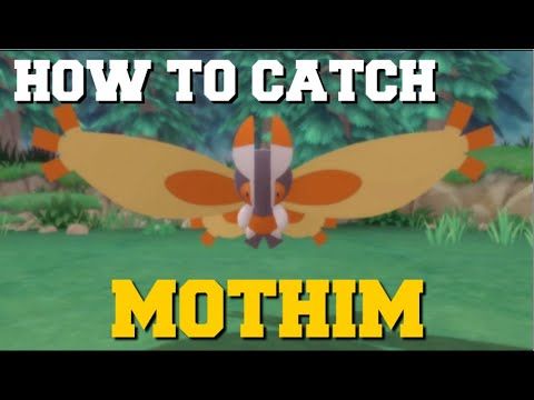 HOW TO CATCH MOTHIM IN POKEMON BRILLIANT DIAMOND AND SHINING PEARL! (MOTHIM LOCATION)